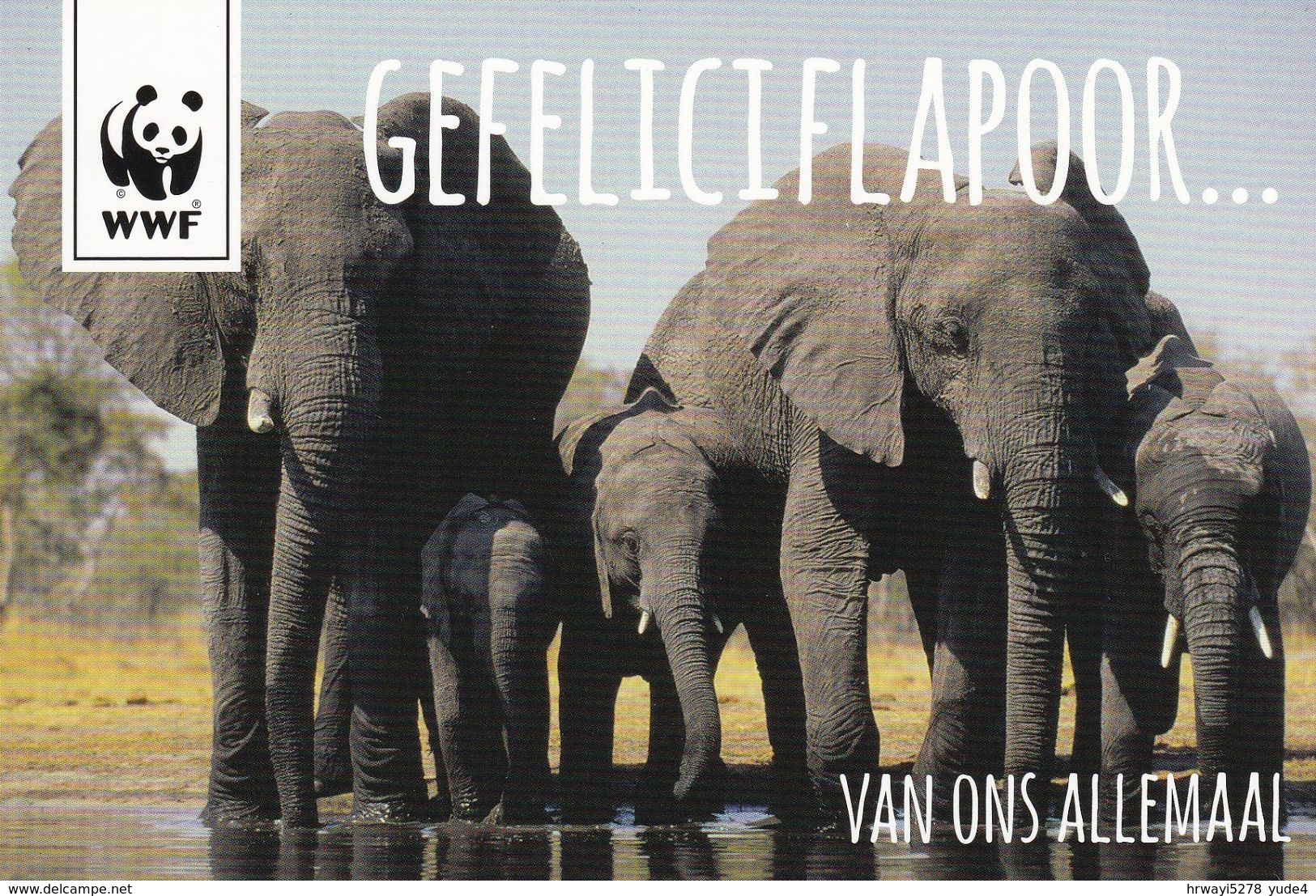 Postcard Elephants, Unused (issue From 2014; 25 Years Dutch Panda Bread In Co-op With WWF) - Elefanti