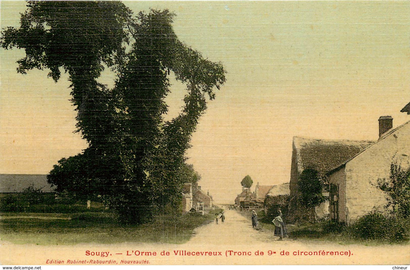 SOUGY L'ORME DE VILLECEVREUX CARTE COLORISEE ET TOILEE - Autres & Non Classés