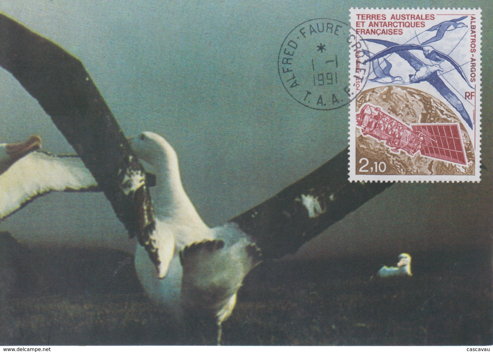 Carte  Maximum   1er  Jour    TAAF   Albatros  Argos    1991 - Albatros & Stormvogels