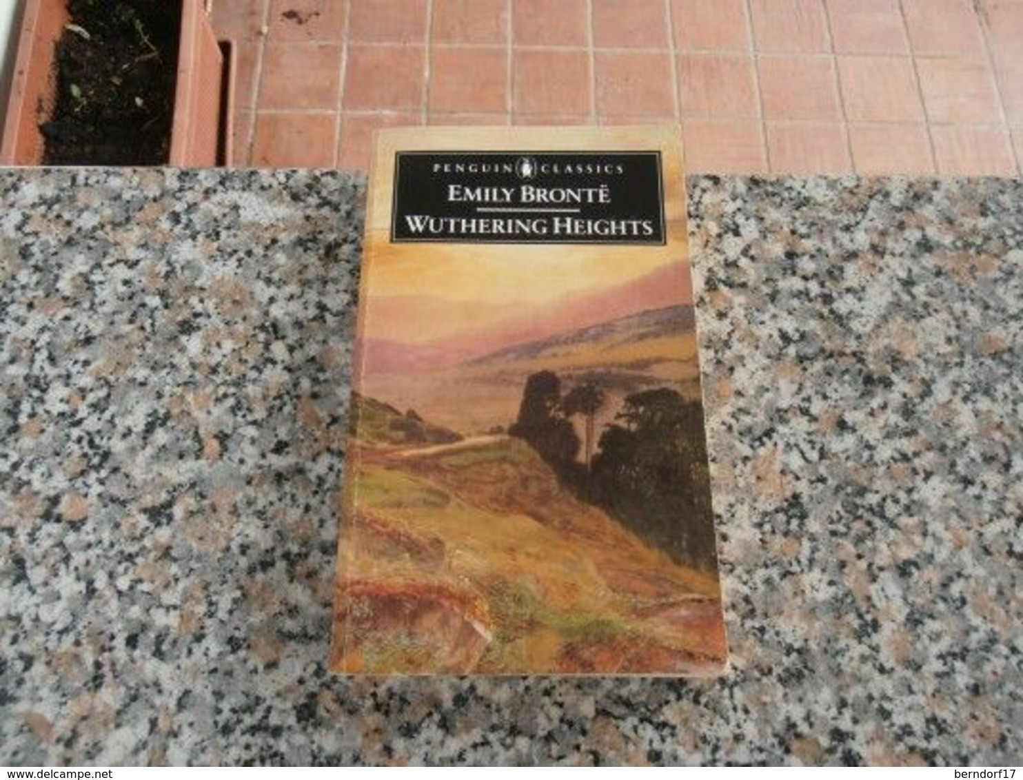 Emily Bronte - Wuthering Heights - Drames