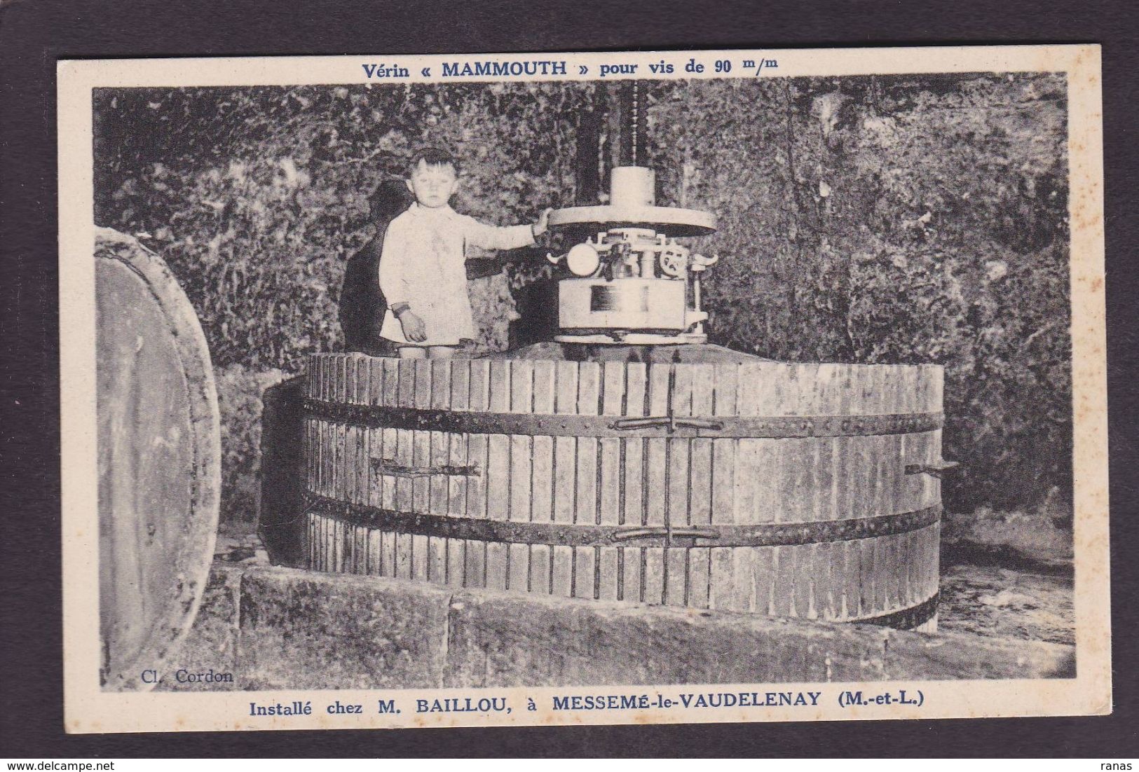 CPA Maine Et Loire 49 Messemé Le Vaudelenay Pressoir Métier Non Circulé - Autres & Non Classés