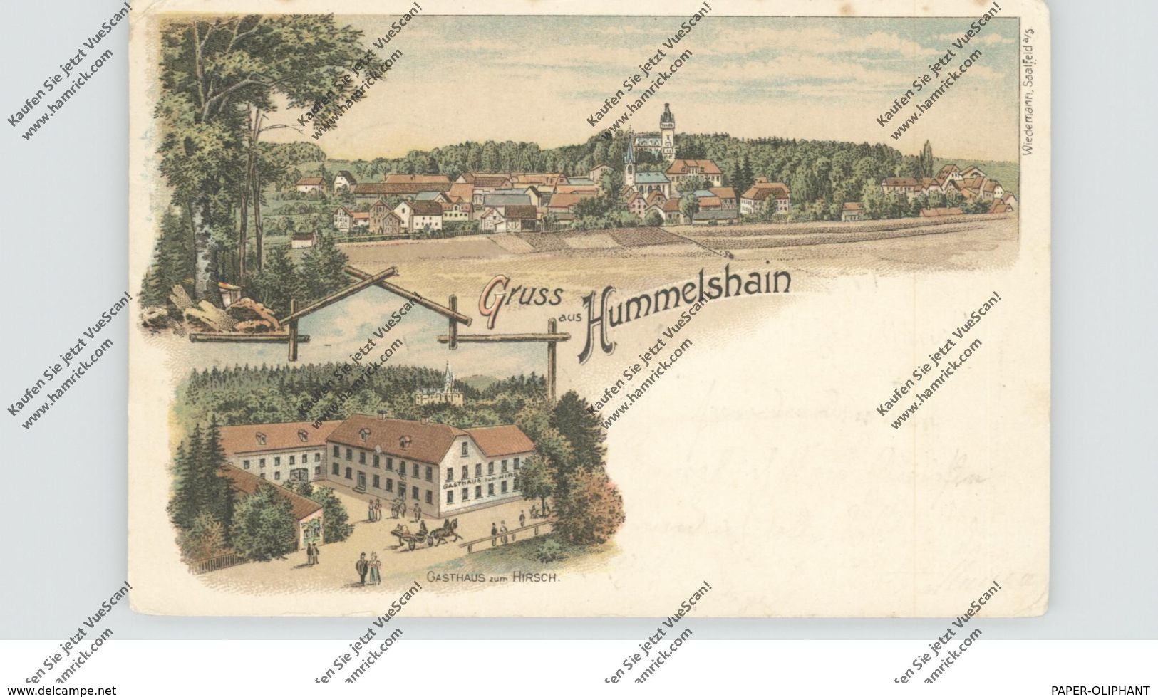 0-6800 SCHMÖLLN - HUMMELSHAIN, Lithographie, Gasthaus Zum Hirsch, Gesamtansicht - Schmölln