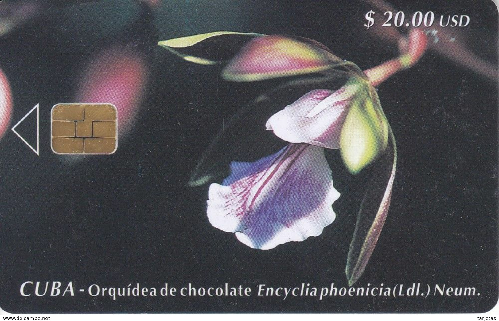 Nº 038 TARJETA DE CUBA DE UNA ORQUIDEA DE CHOCOLATE (RARA) (ORCHID-FLOWER) - Cuba