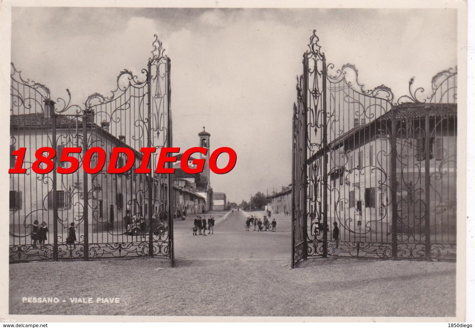 PESSANO - VIA PIAVE F/GRANDE  VIAGGIATA 1955? ANIMATA - Sesto San Giovanni