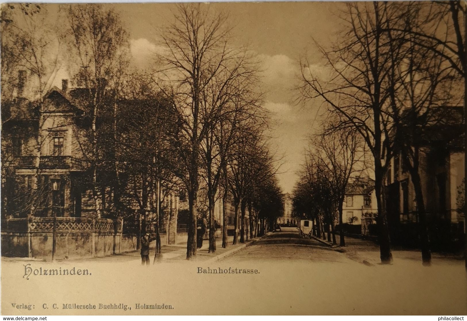 Holzminden //  Bahnhof Strasse  Ca 1900 - Holzminden