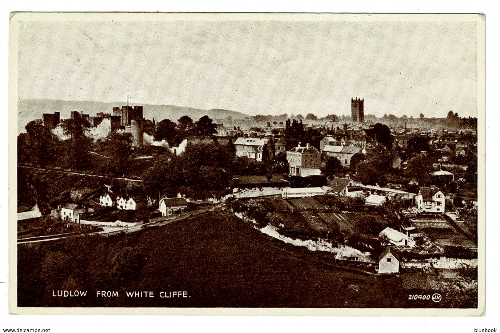 Ref 1396 - 1947 Postcard - Ludlow From White Cliffe - Shropshire Salop - Shropshire