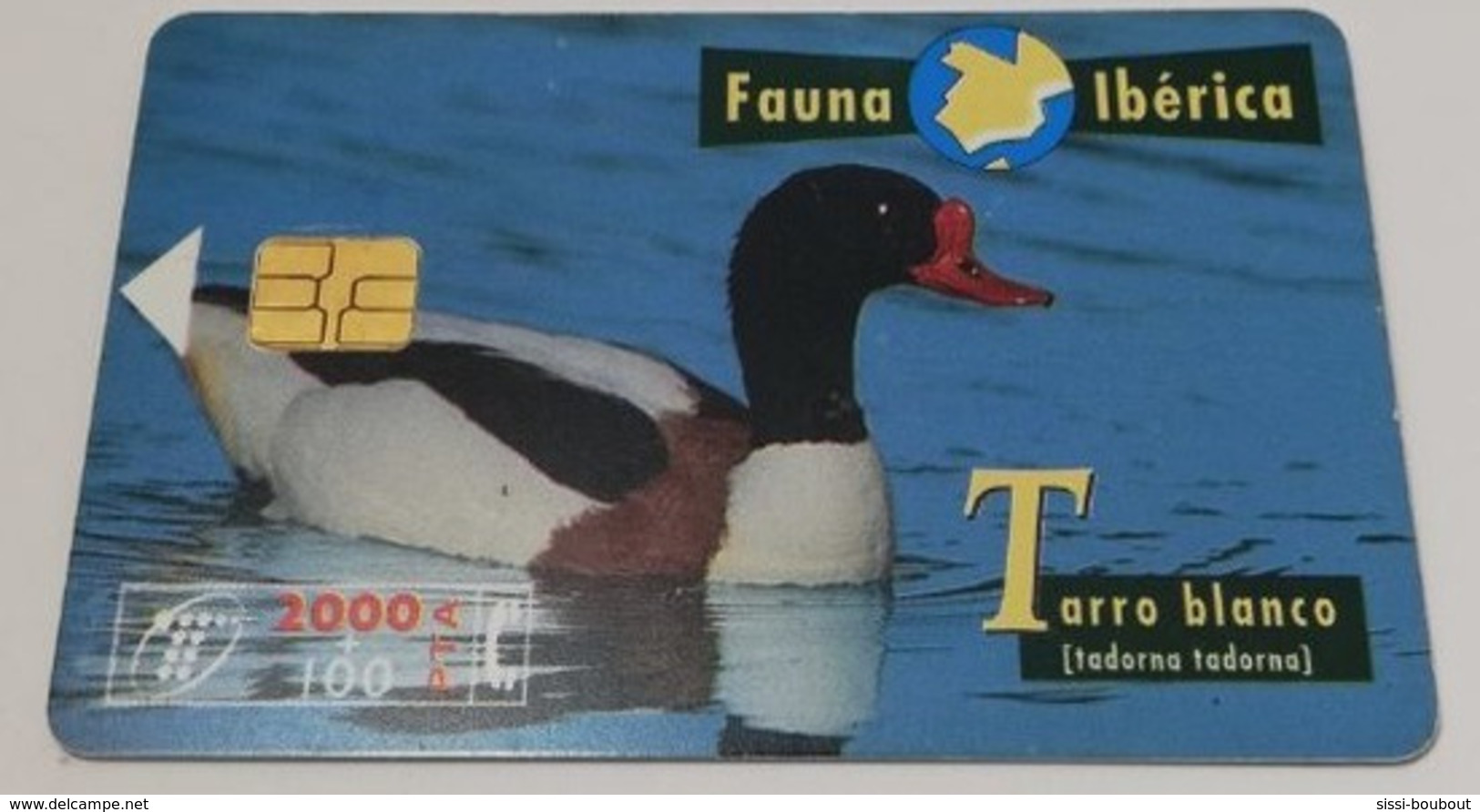 Télécarte - Pays ESPAGNE - Telefonica - Collectio: Fauna Iberica - Tarro Blanco - Sammlungen