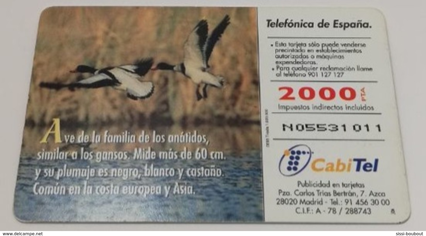 Télécarte - Pays ESPAGNE - Telefonica - Collectio: Fauna Iberica - Tarro Blanco - Verzamelingen