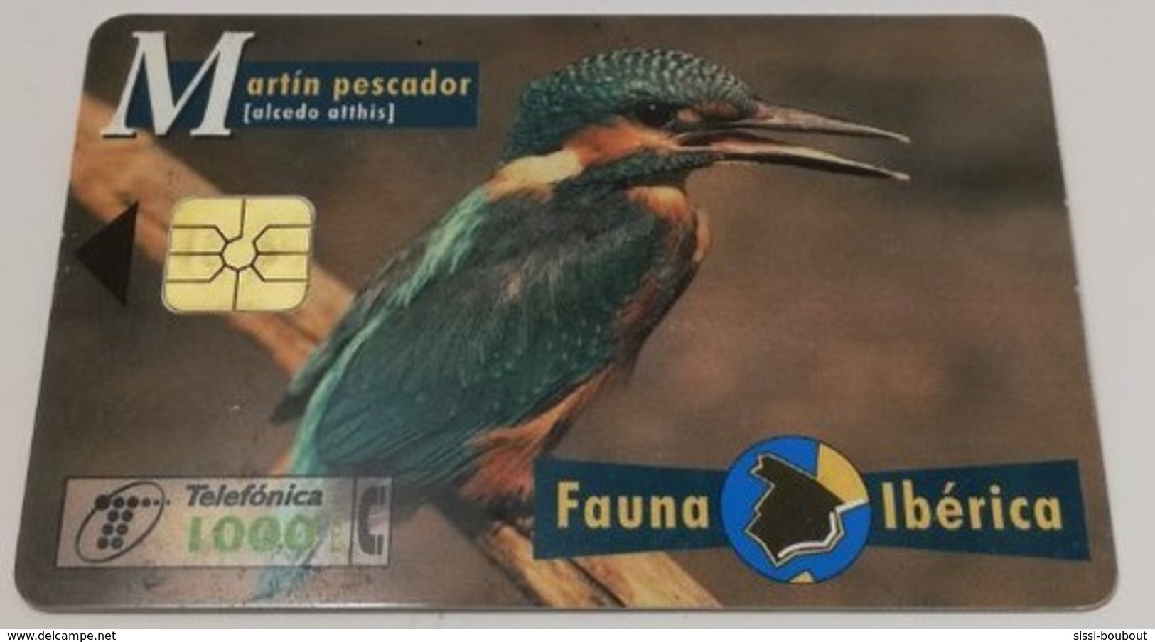 Télécarte - Pays ESPAGNE - Telefonica - Collectio: Fauna Iberica - Martin Pescador - Sammlungen