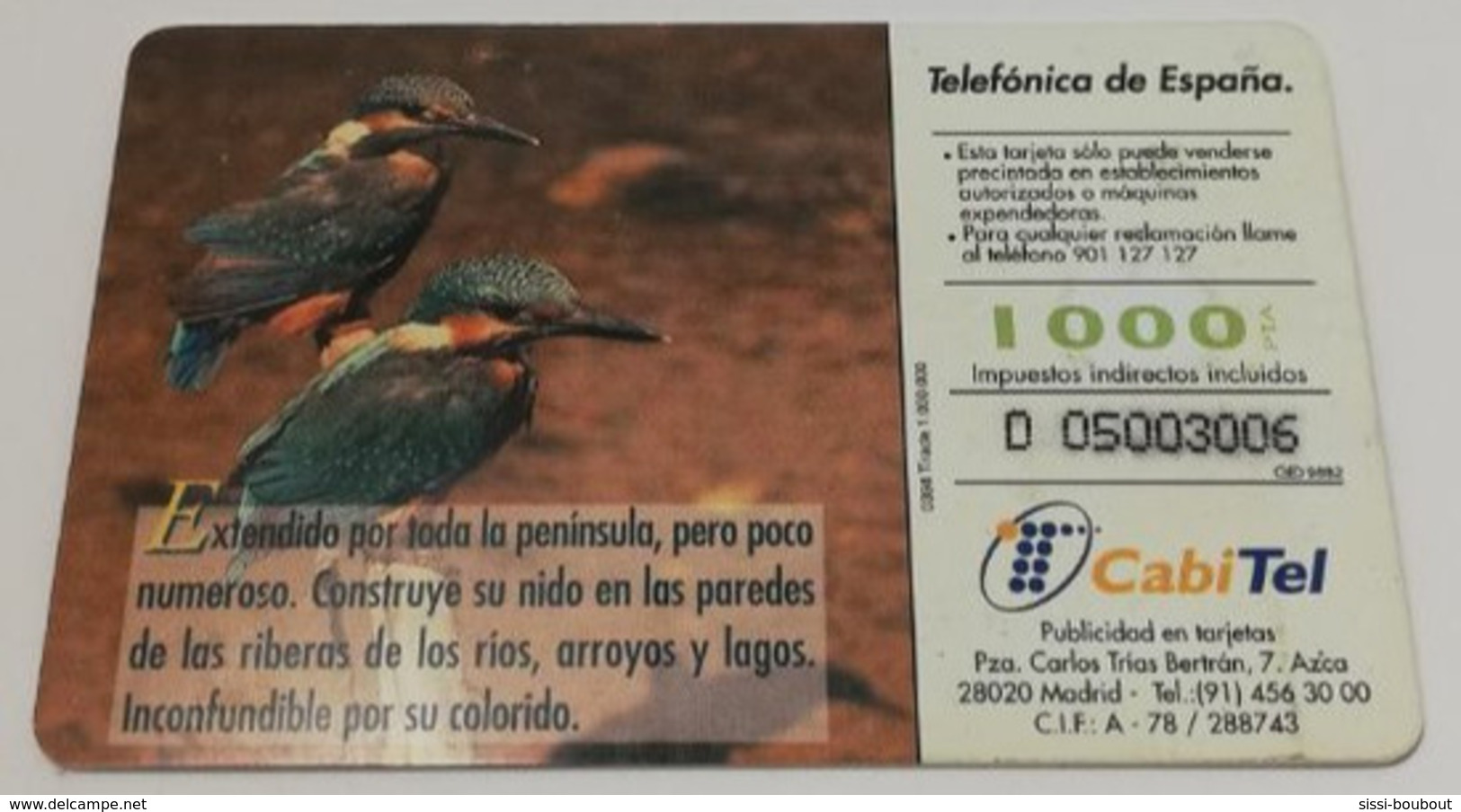 Télécarte - Pays ESPAGNE - Telefonica - Collectio: Fauna Iberica - Martin Pescador - Verzamelingen