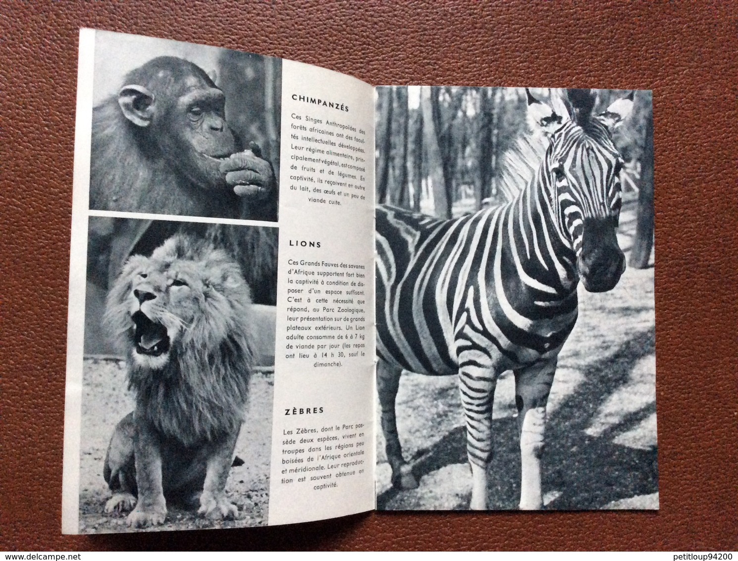 MUSEUM NATIONAL D’HISTOIRE NATURELLE   Zoo De Vincennes  GUIDE OFFICIEL  Girafe  ANNEE 1957 - Tourism Brochures