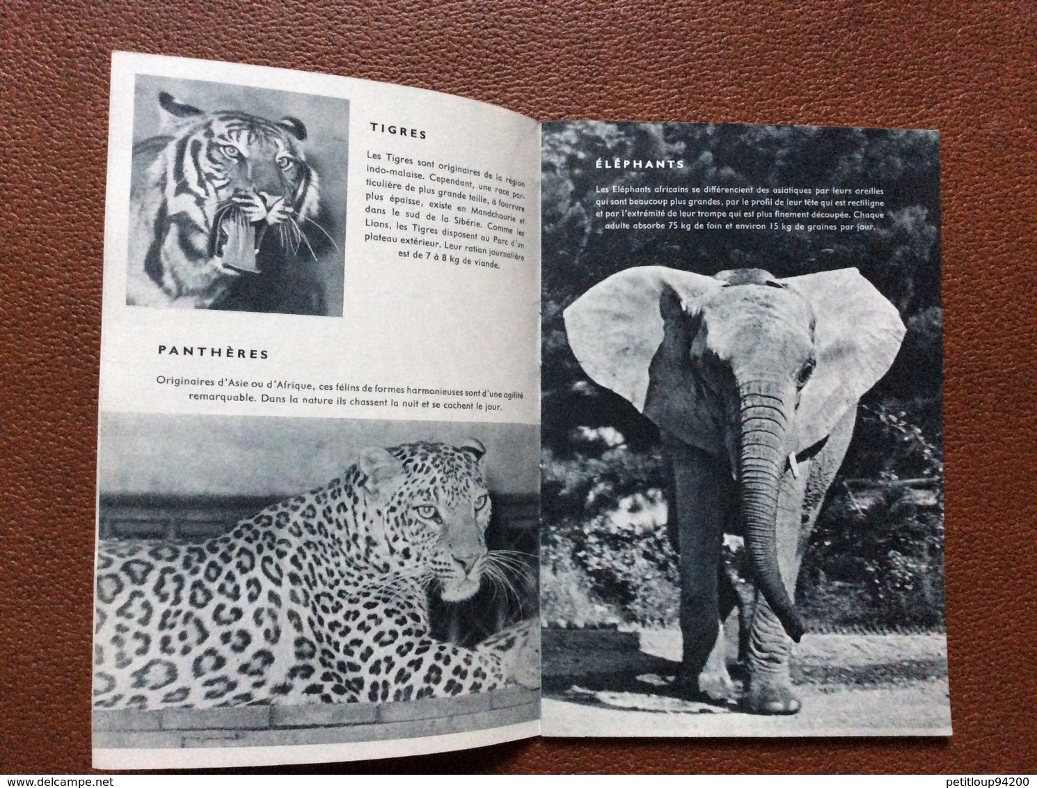 MUSEUM NATIONAL D’HISTOIRE NATURELLE   Zoo De Vincennes  GUIDE OFFICIEL  Girafe  ANNEE 1957 - Tourism Brochures