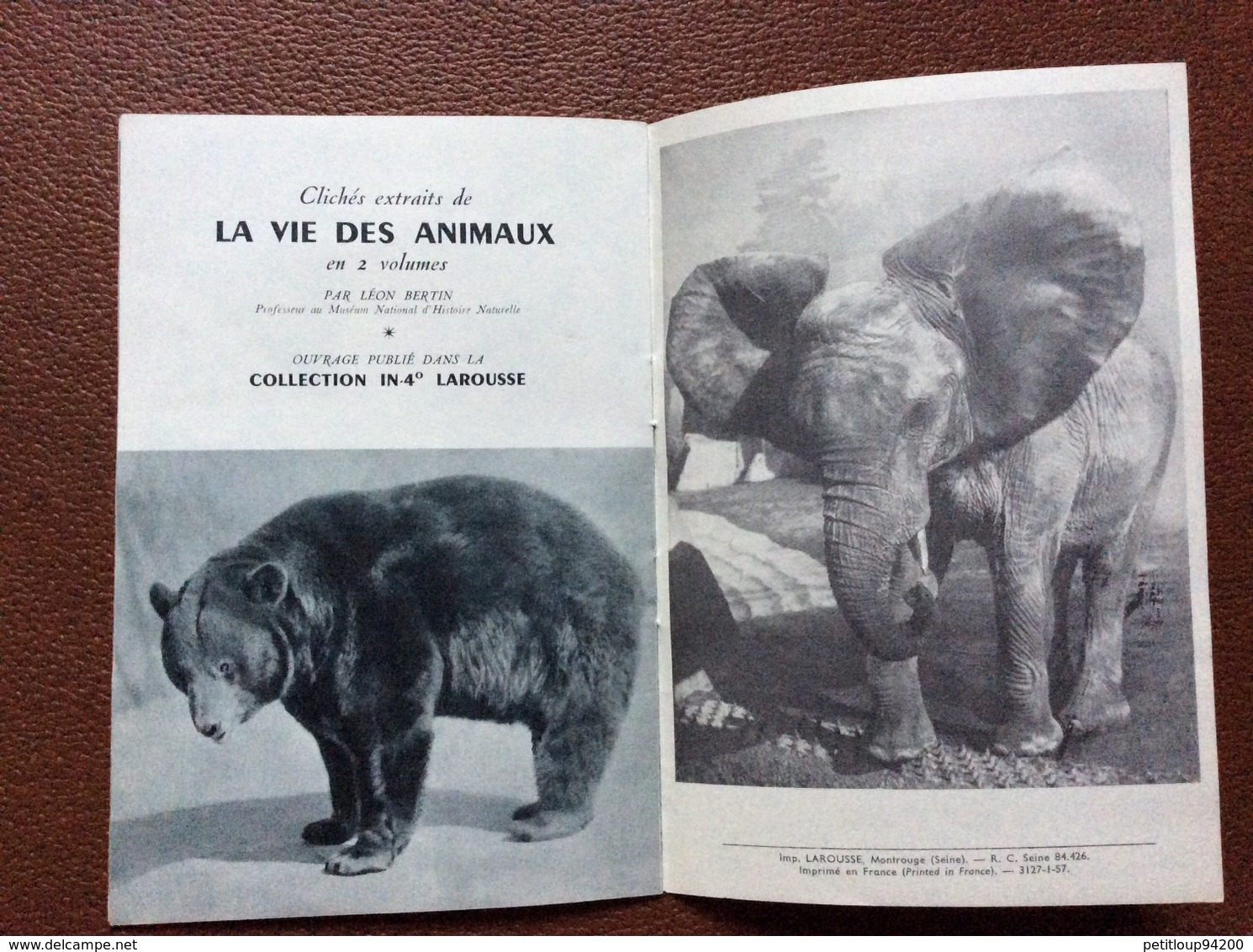 MUSEUM NATIONAL D’HISTOIRE NATURELLE   Zoo de Vincennes  GUIDE OFFICIEL  Girafe  ANNEE 1957