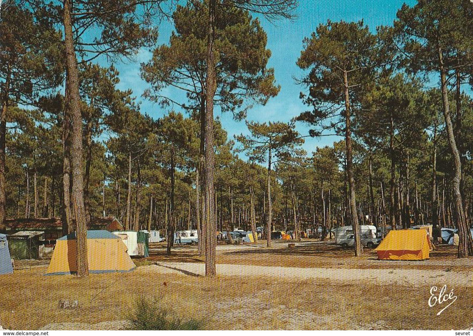 BISCAROSSE. - Le Camping De La Plage. CPM - Biscarrosse