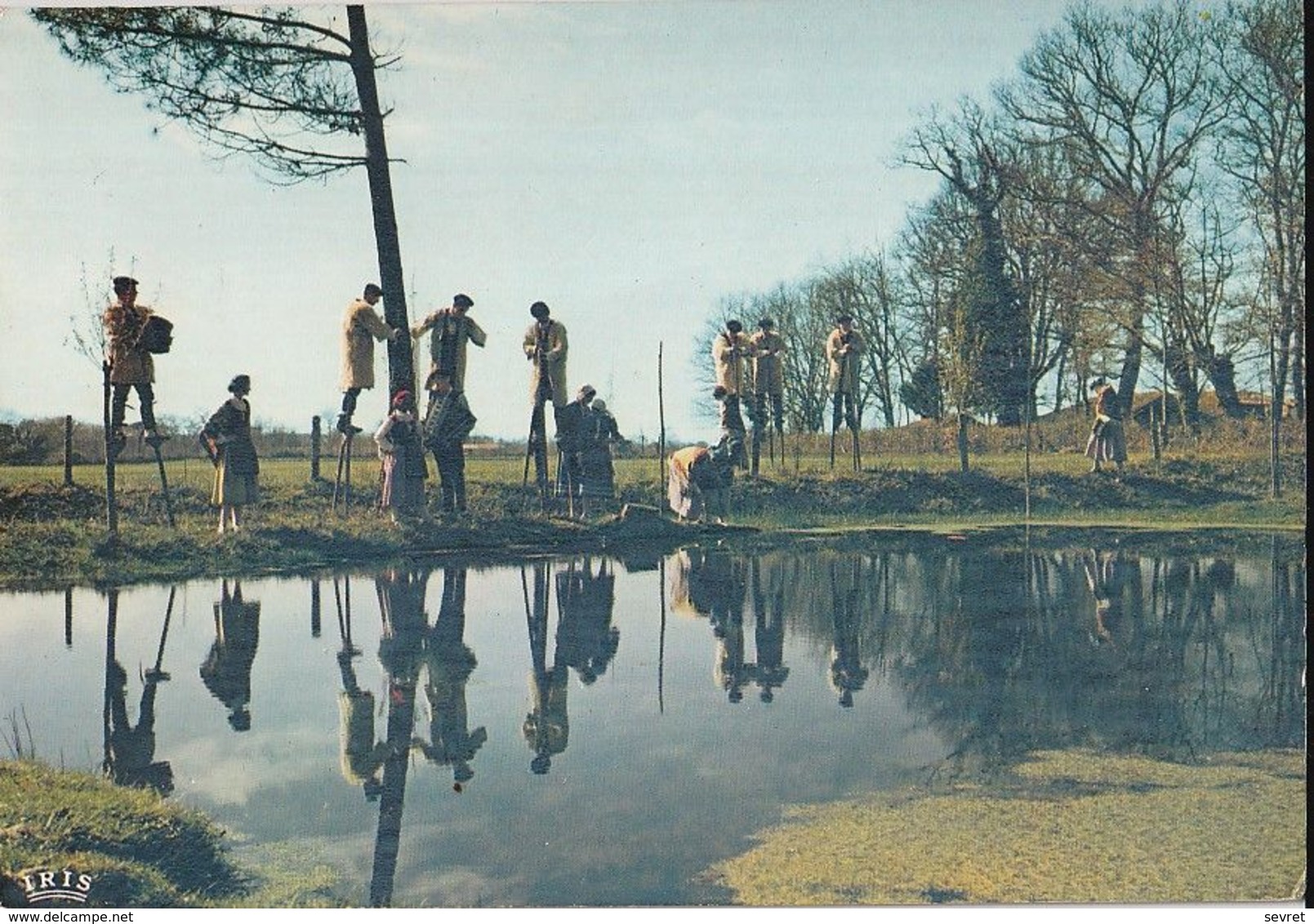 MONT-de-MARSAN. -  Groupe "ELAN" . ECHASSIERS Au Bord Du Lac - Danses