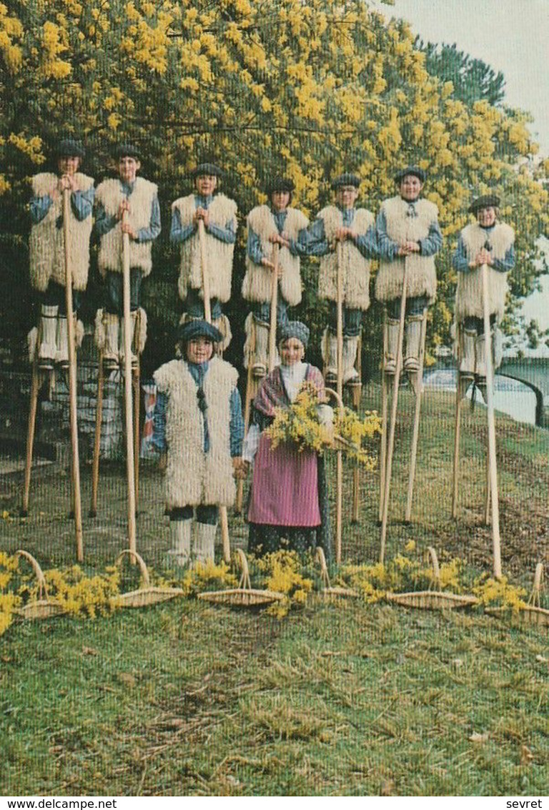 HOSSEGOR. -  Groupe "LOUS PALOUMAYRES". Carte RARE - Danses