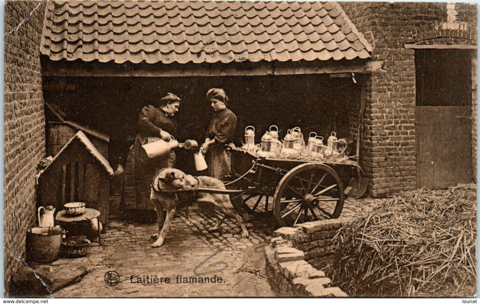 Attelage De Chiens - Laitière Flamande (pli Coins ) Ed. Nels, Bruxelles, Série Laitière N°10  - Marchand Ambulant - Street Merchants