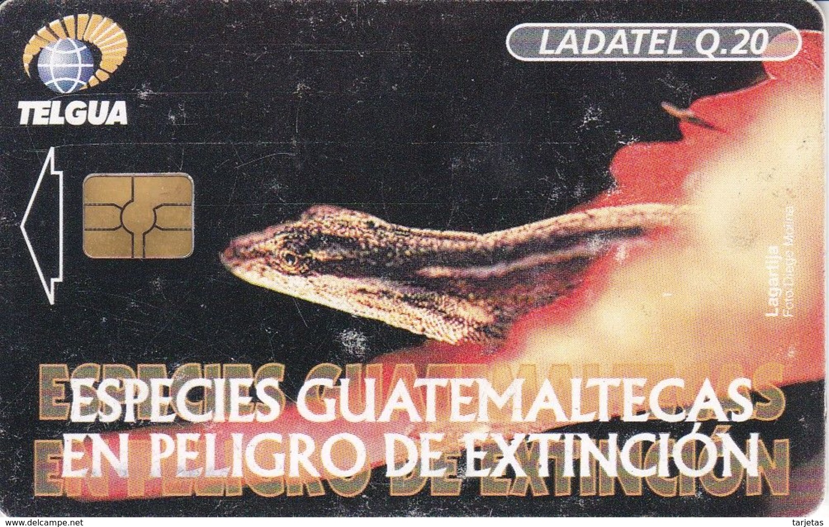 TARJETA DE GUATEMALA DE UNA LAGARTIJA (LADATEL) LIZARD - Guatemala