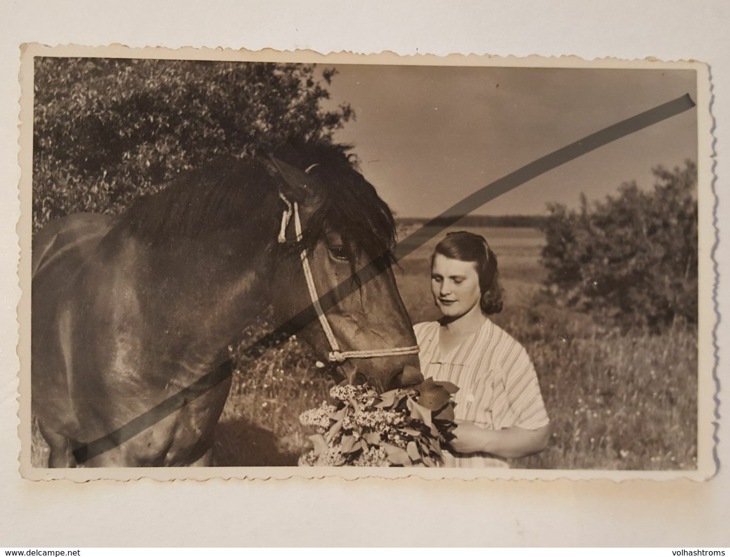 Photo Vintage. Original. Agriculture. Fille Et Cheval. Lettonie D'avant-guerre - Professions