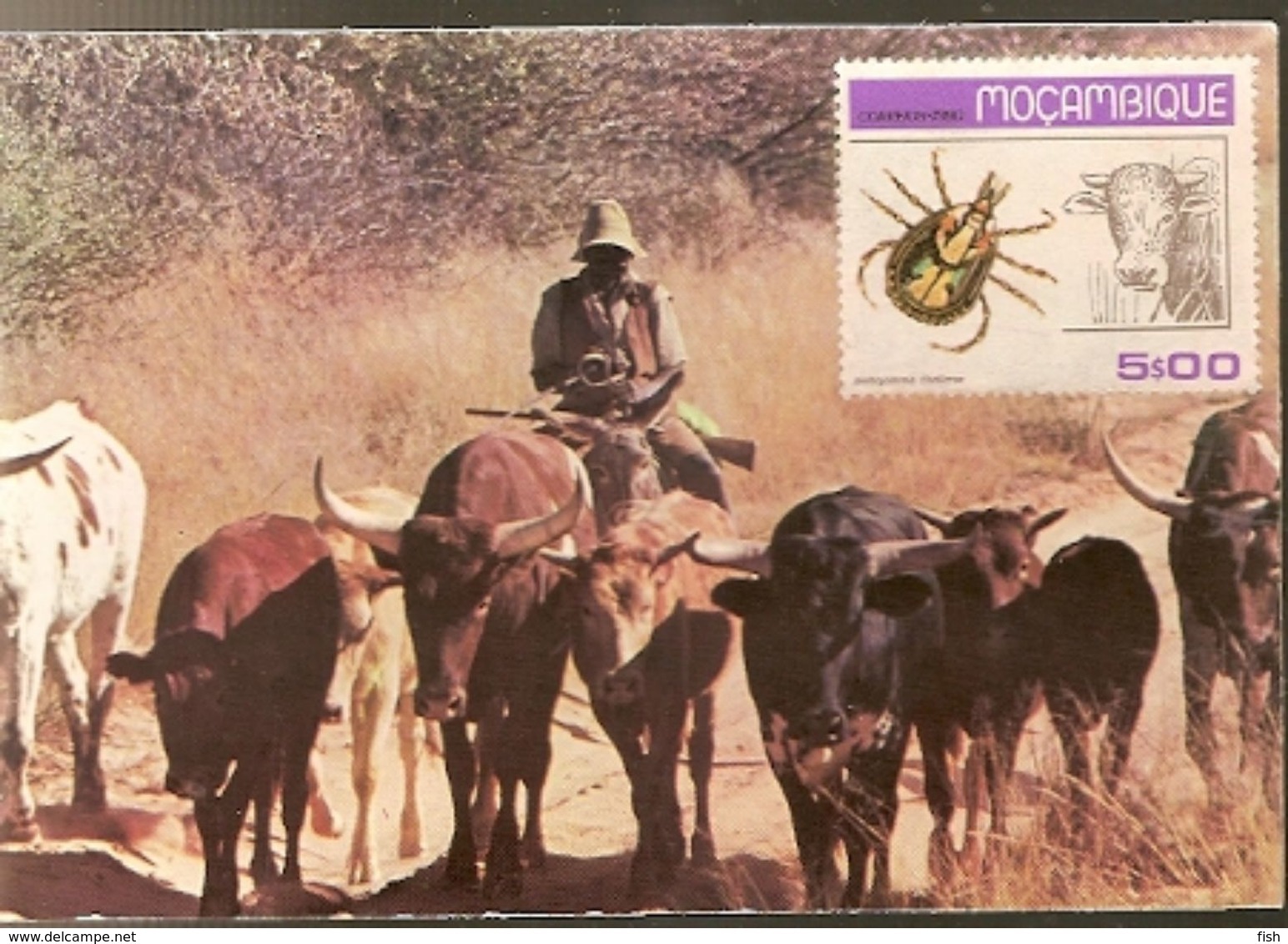 Botswana ** & Postal, Trekking Cattle Near Kang With Mozambique Stamp 1980 (4333) - Botswana