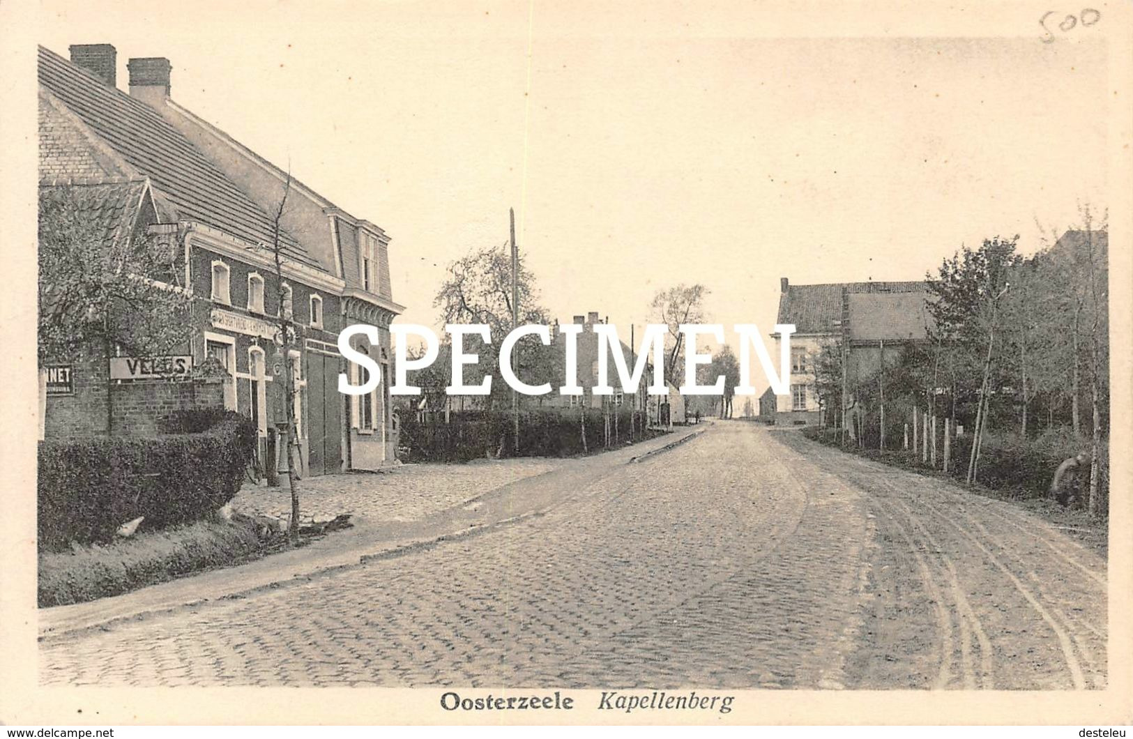 Kapellenberg - Oosterzele - Oosterzele