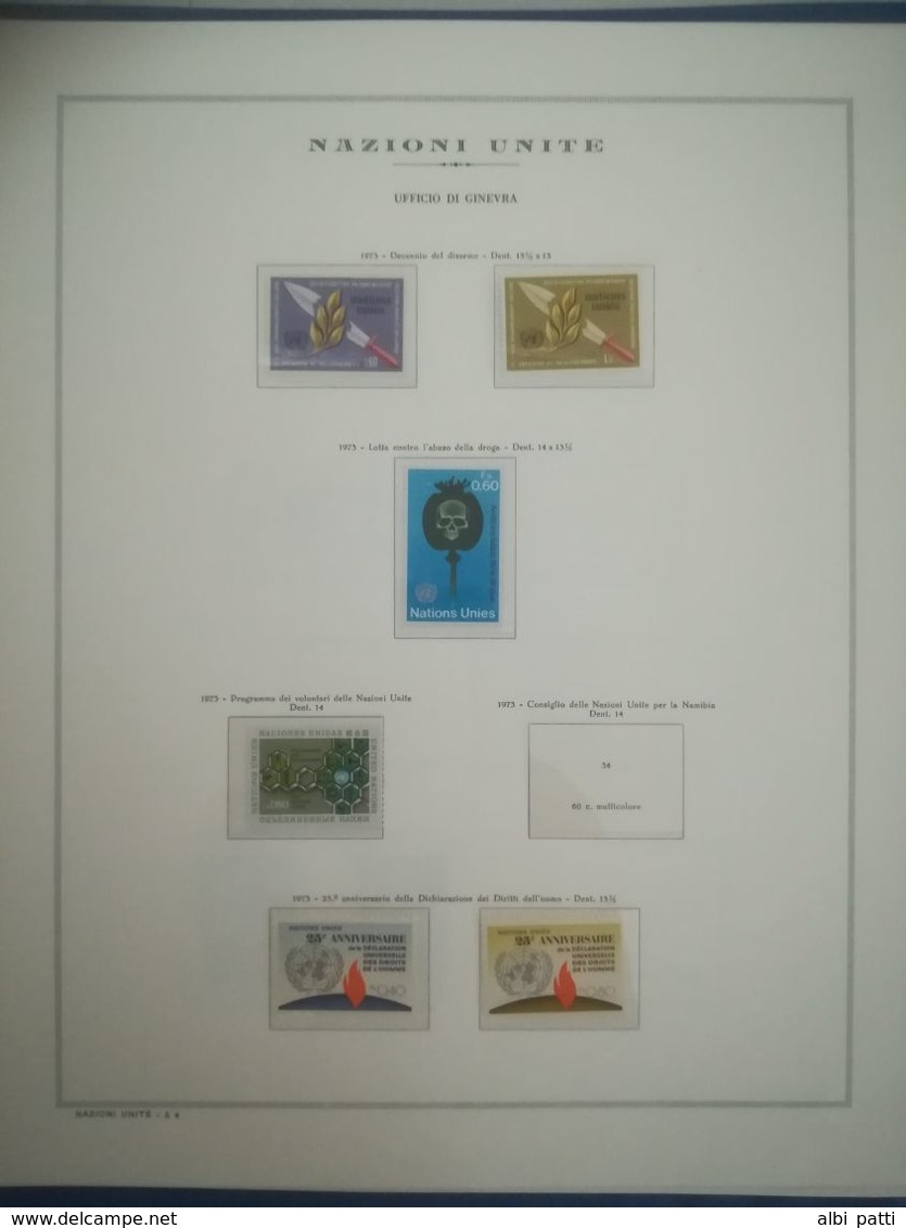 O.N.U. - UNITED NATIONS - NEW YORK - GINEVRA - VIENNA - ADVANCED COLLECTION FROM 1951 TO 1984  MNH**