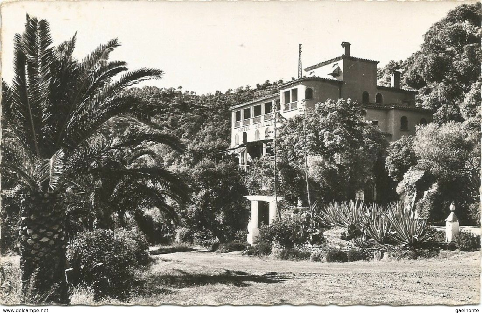 F1271 LE RAYOL - UNE VUE SUR L'HÔTEL BELLEVUE ET LE JARDIN - Rayol-Canadel-sur-Mer