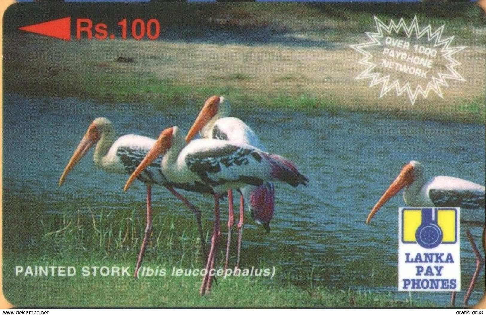 Sri Lanka (Ceylon) - SRL-29C, GPT, 29SRLC, Painted Stork ("Over 1000 Payphone Network"), Birds, Rs.100, Used - Sri Lanka (Ceilán)