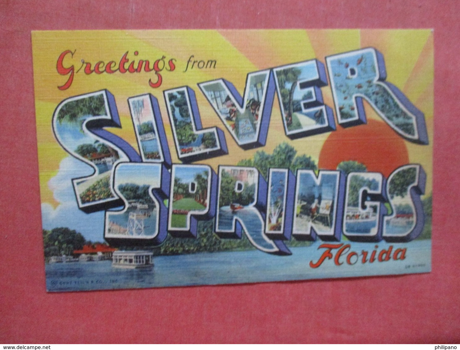 Greetings   > Silver Springs  Florida     Ref 4309 - Silver Springs