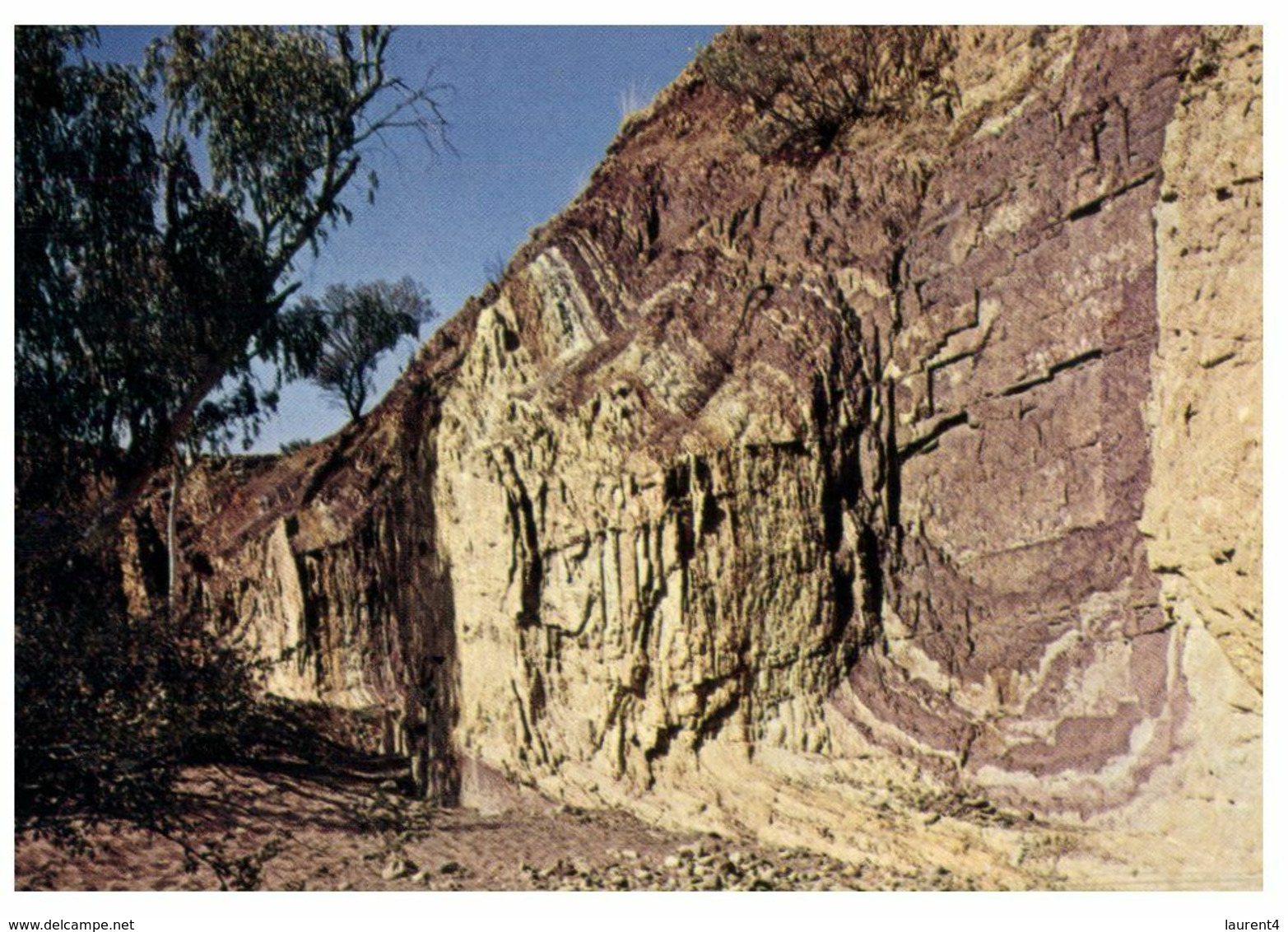 (D 15) Australia - NT - Ochre Cliff (P.941) - Uluru & The Olgas