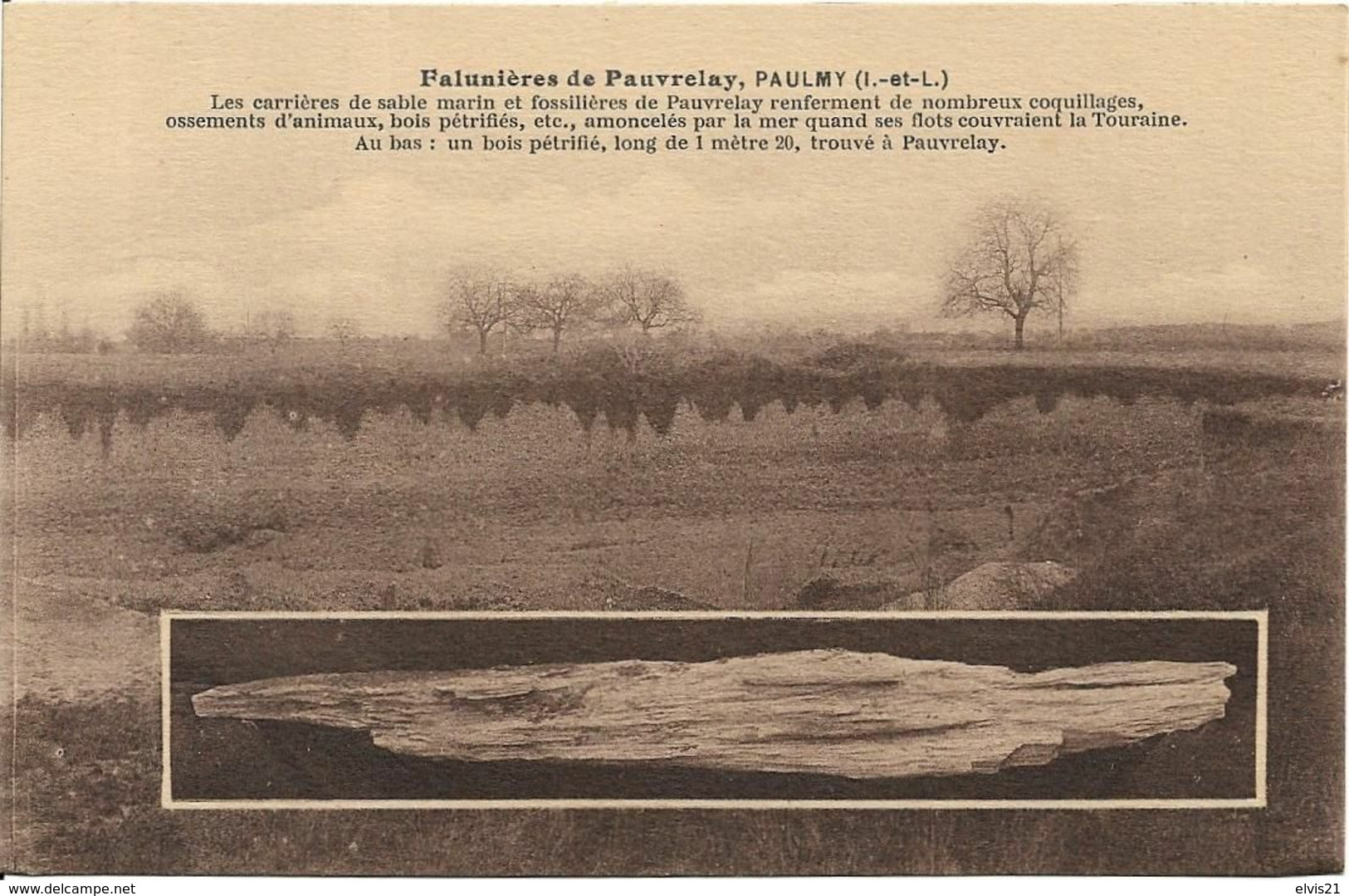 PAULMY Falunières De Pauvrelay - Autres & Non Classés