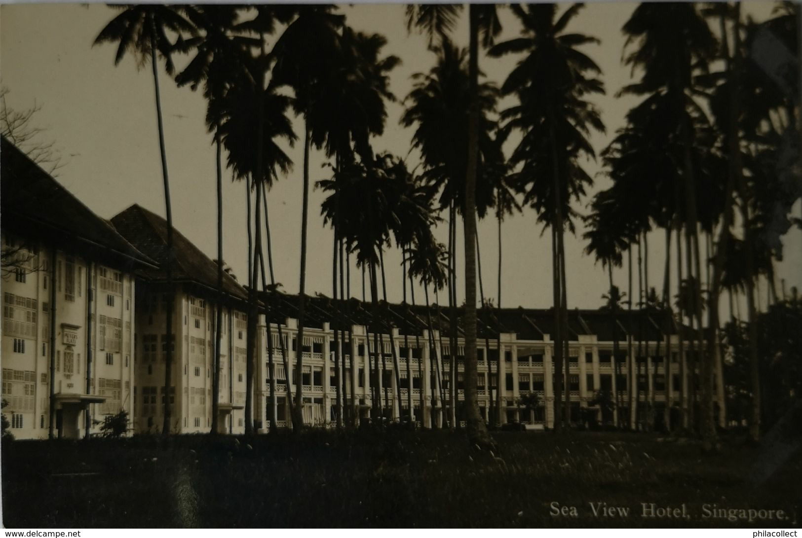 Singapore - Singapour // Carte Photo - RPPC // Sea View Hotel 19?? - Singapore