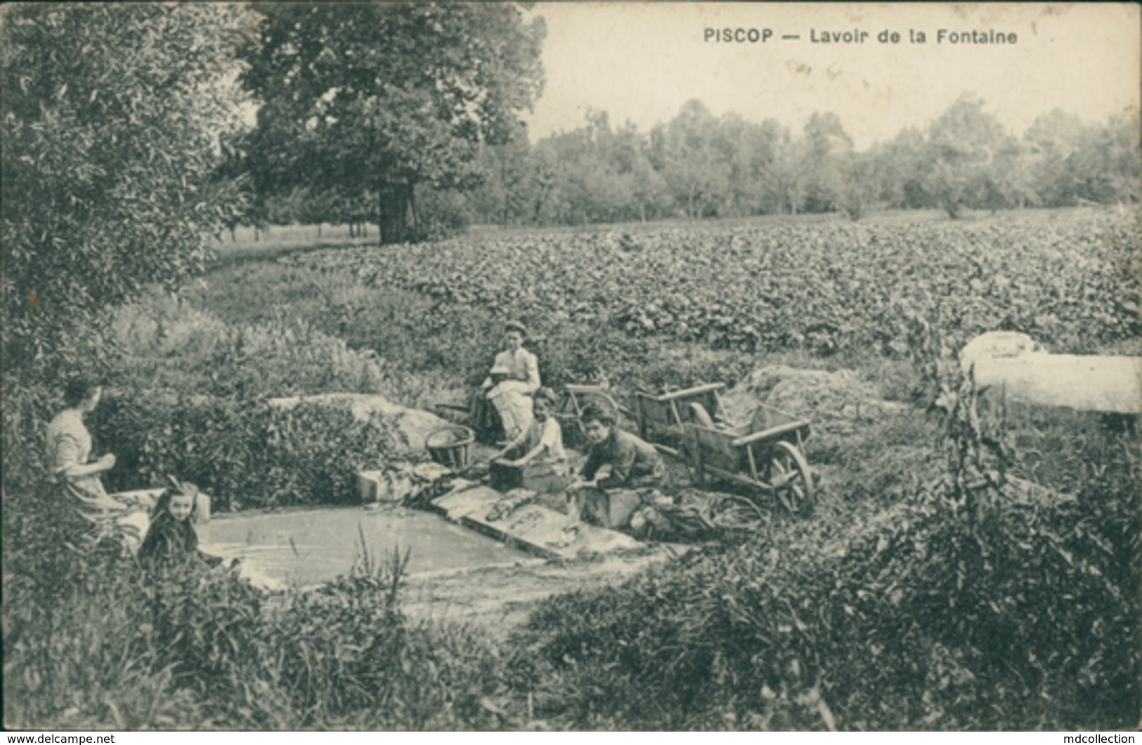 95 PISCOP / Lavoir De La Fontaine / - Pontcelles