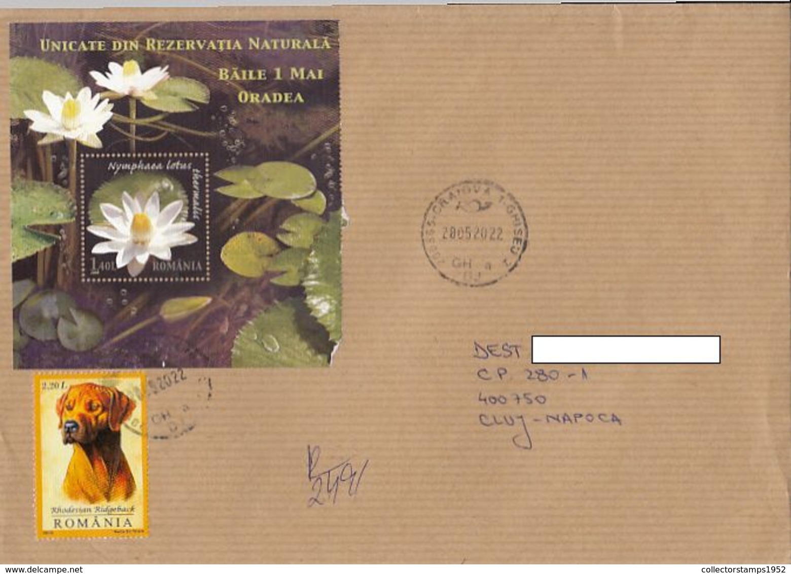 8037FM- DOG, WATER LILY SHEET, STAMPS ON REGISTERED COVER, 2020, ROMANIA - Brieven En Documenten