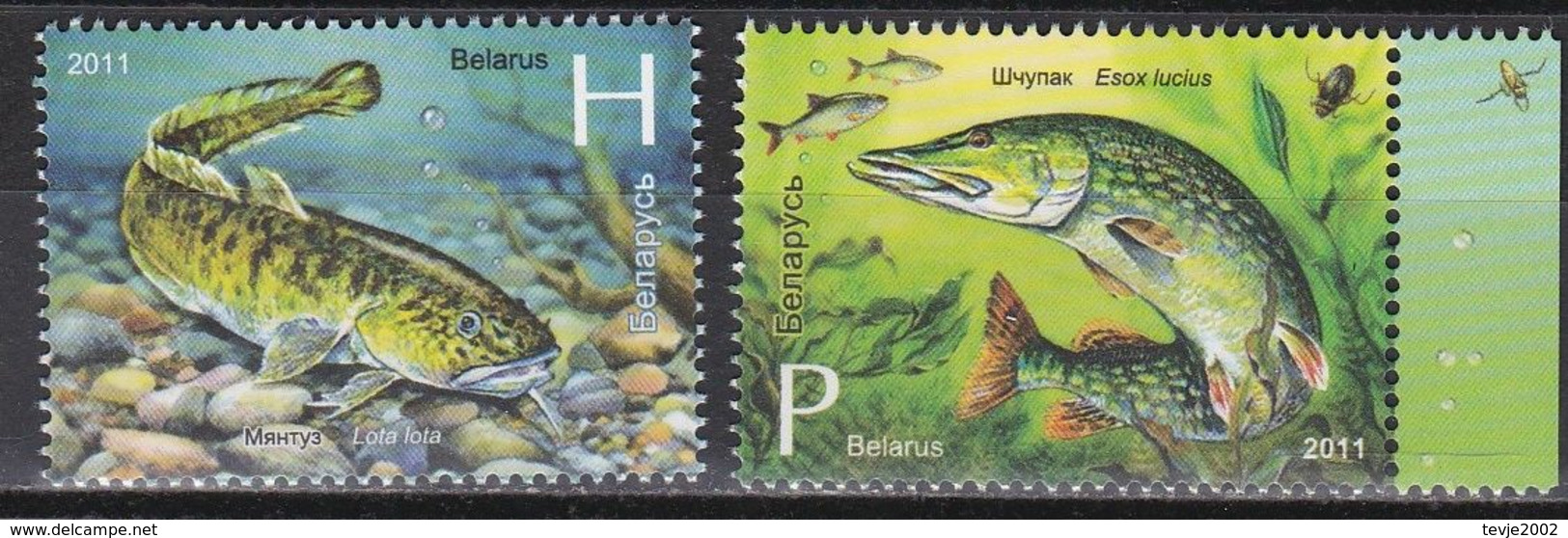 Weißrußland Belarus 2011 - Mi.Nr. 870 - 871 - Postfrisch MNH - Tiere Animals Fisches Fishes - Fische