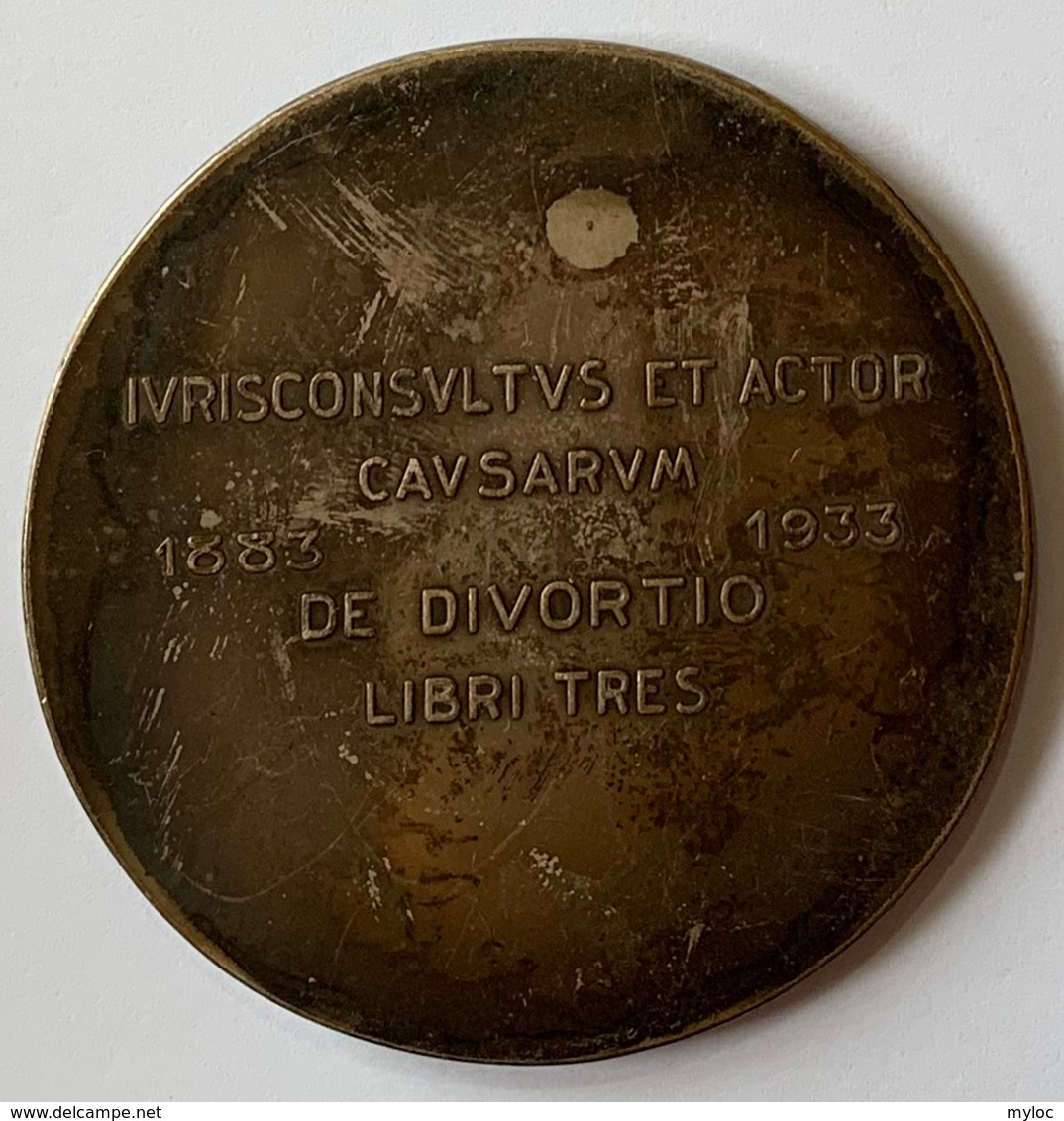 Médaille Bronze. Arthur Pierard. Ses Confrères Et Amis. 1883-1933. Marnix D'Haveloose - Professionals / Firms
