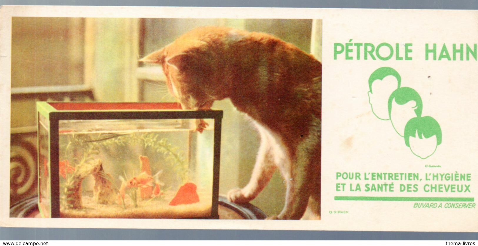 (chats) Buvard PETROLE HAHN (M0649) - Animales