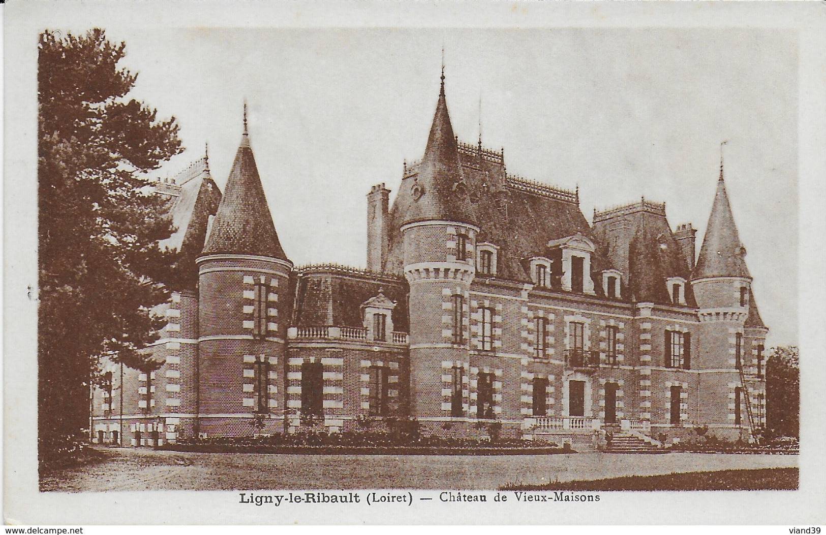 Ligny Le Ribault - Château De Vieux-Maisons - Jargeau