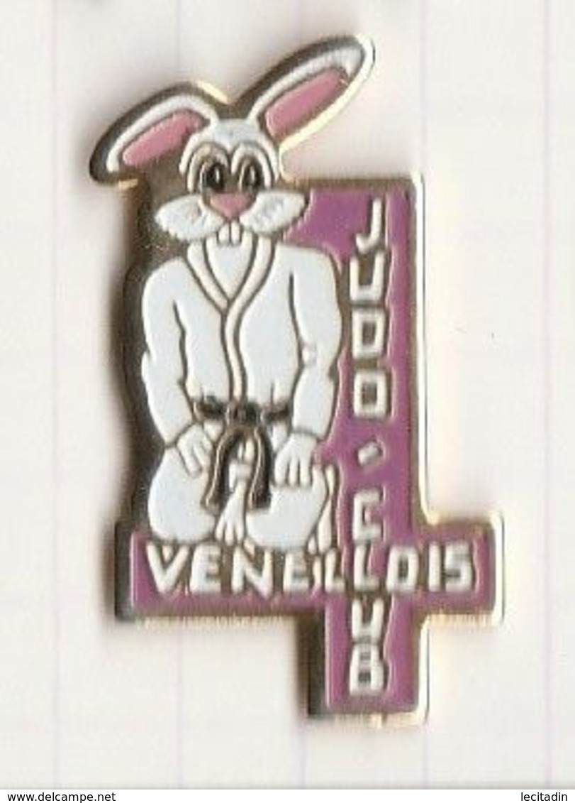 PINS VILLE 13 VENELLE Judo-Club - Judo