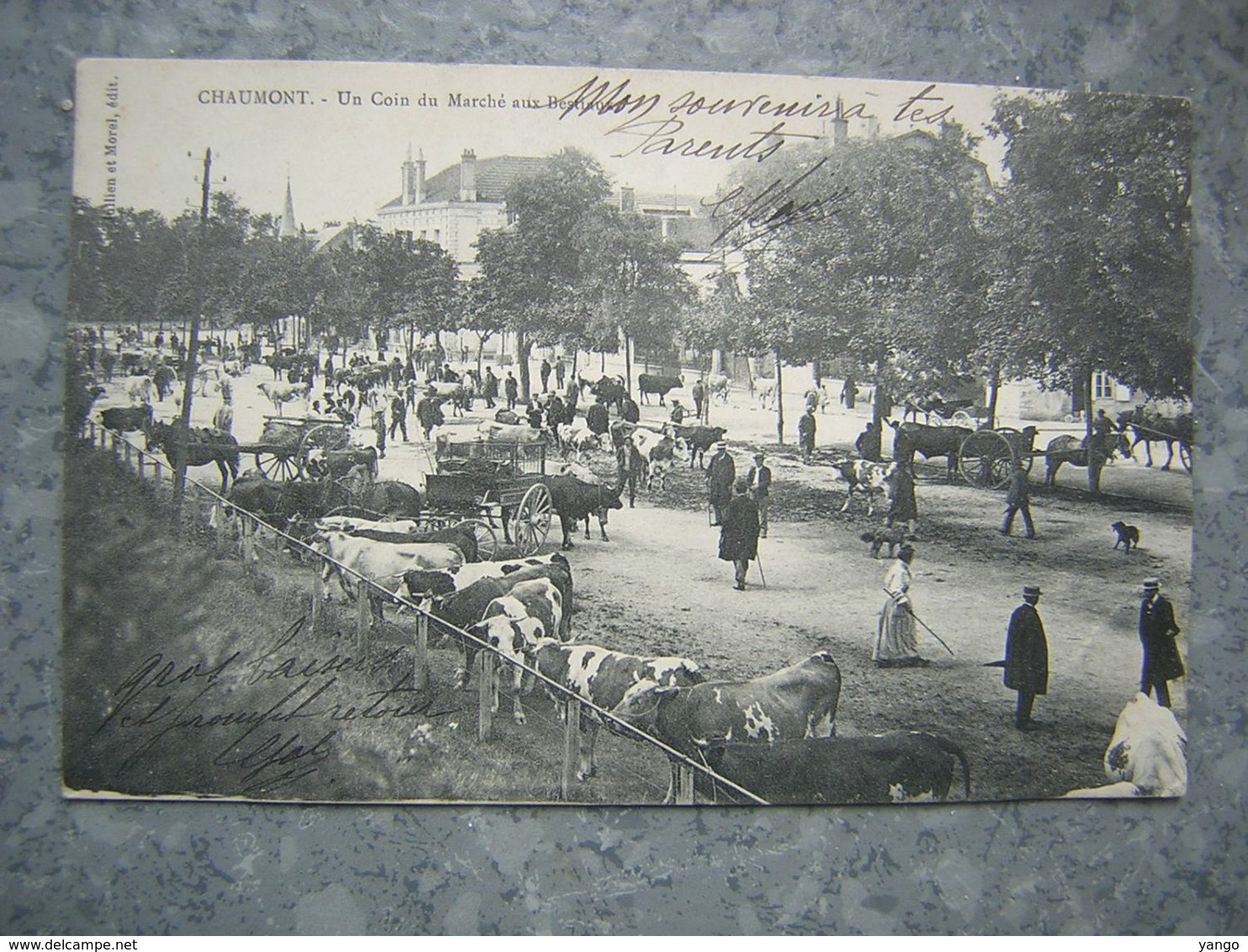 CHAUMONT - UN COIN DU MARCHE AUX BESTIAUX - Chaumont