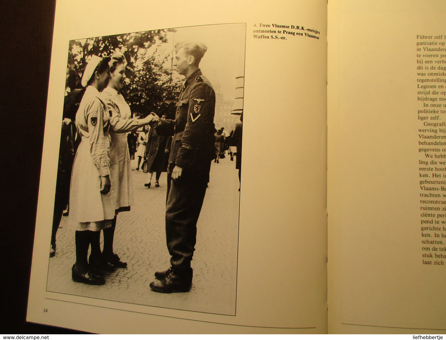 Oostfronters   -   Vlamingen In Het Vlaams Legioen En De Waffen SS - Guerra 1939-45