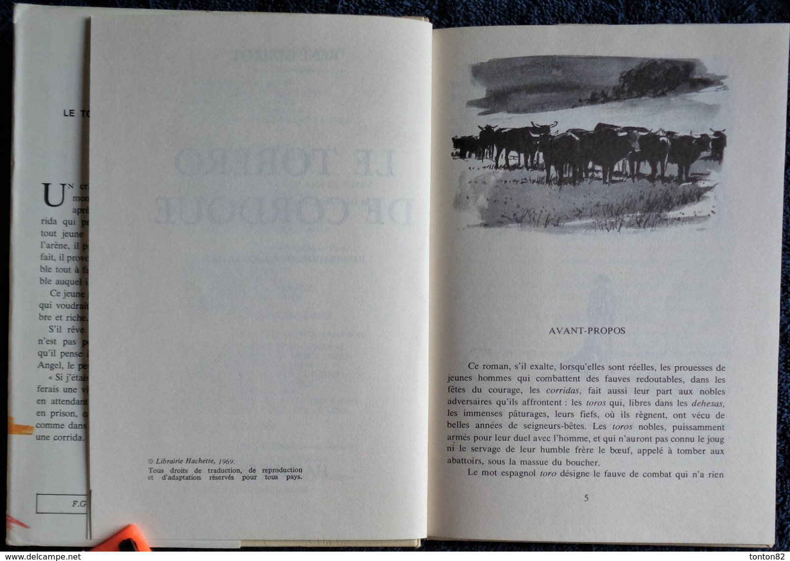 René Guillot - Le Torero De Cordoue  - Idéal Bibliothèque  N° 358 - ( 1969 ) . - Ideal Bibliotheque