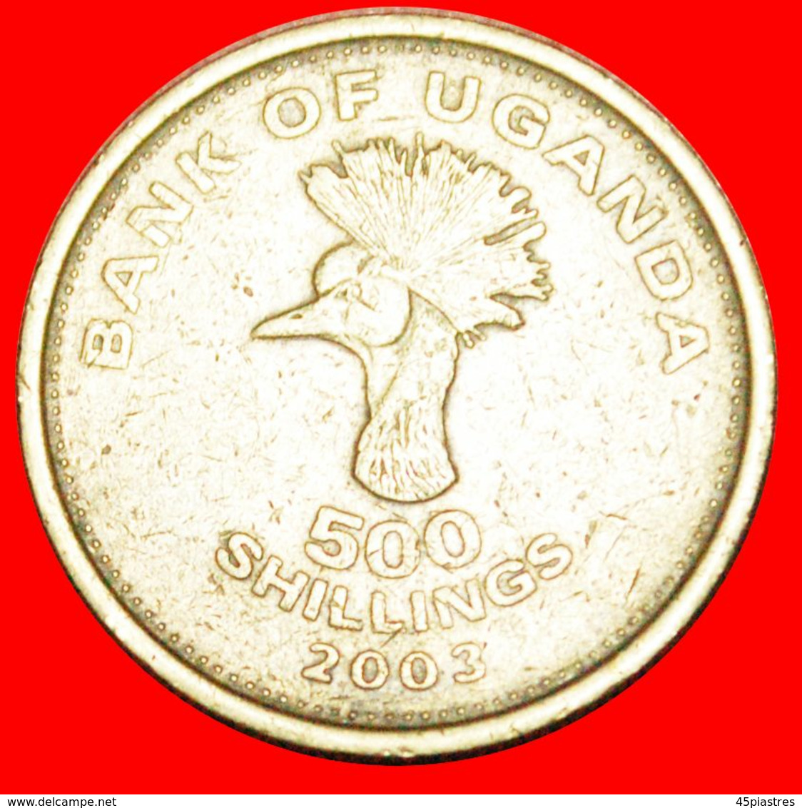 · CRANE (1998-2019): UGANDA ★ 500 SHILLINGS 2003! LOW START ★ NO RESERVE! - Oeganda