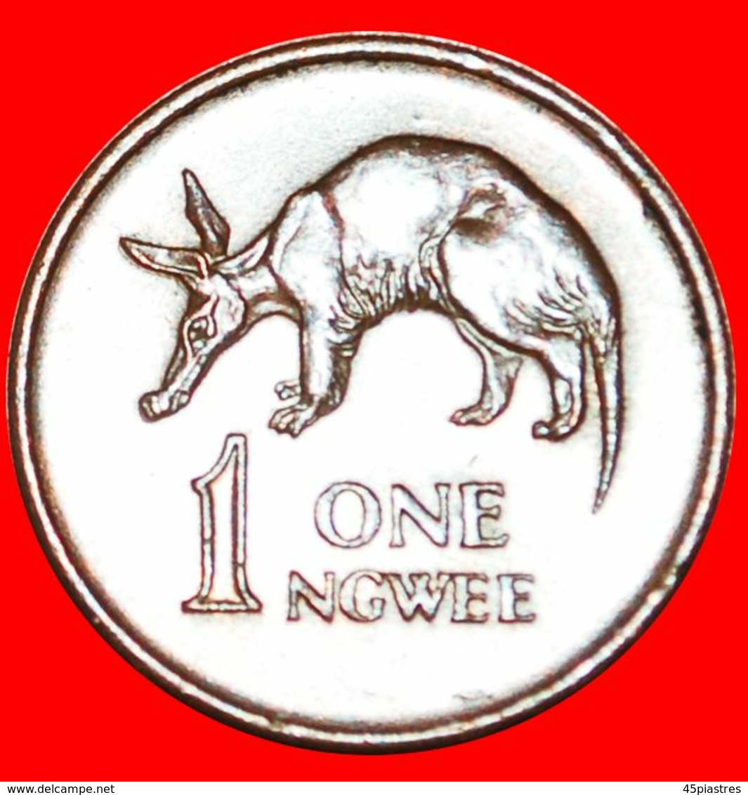 · GREAT BRITAIN (1968-1978): ZAMBIA ★ 1 NGWEE 1968 ANTEATER! LOW START ★ NO RESERVE! - Zambie