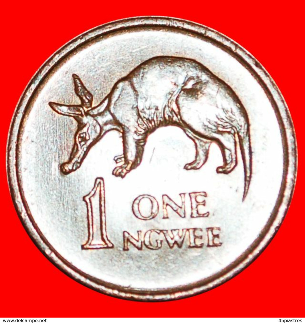 · GREAT BRITAIN (1968-1978): ZAMBIA ★ 1 NGWEE 1969 ANTEATER! LOW START ★ NO RESERVE! - Sambia