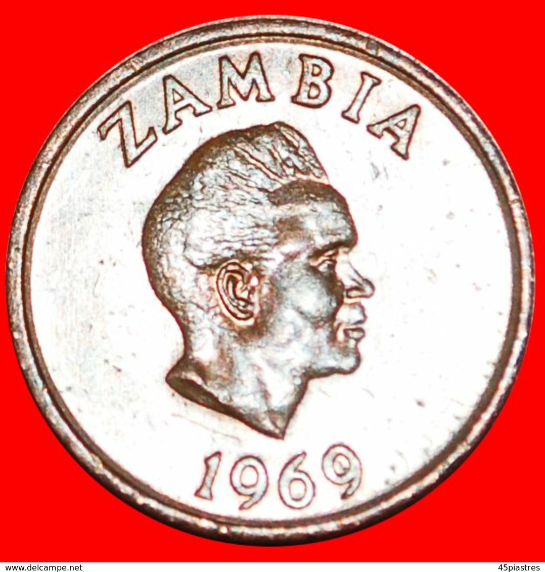 · GREAT BRITAIN (1968-1978): ZAMBIA ★ 1 NGWEE 1969 ANTEATER! LOW START ★ NO RESERVE! - Zambia