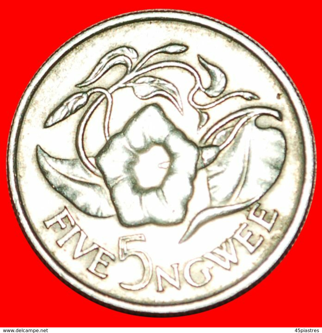 · GREAT BRITAIN: ZAMBIA ★ 5 NGWEE 1968 FLOWER! LOW START ★ NO RESERVE! - Zambia