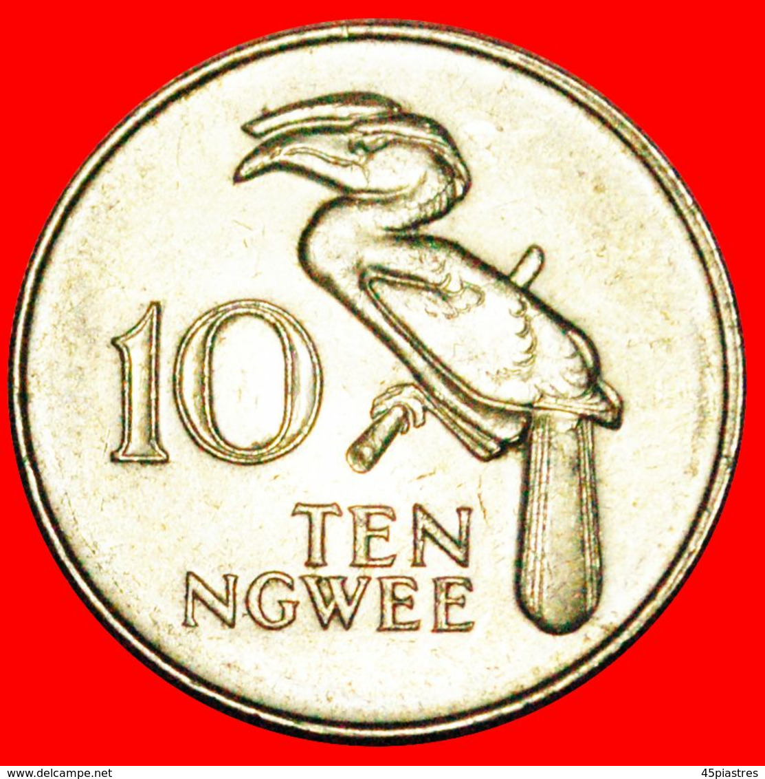 · GREAT BRITAIN: ZAMBIA ★ 10 NGWEE 1987 BIRD! LOW START ★ NO RESERVE! - Zambie