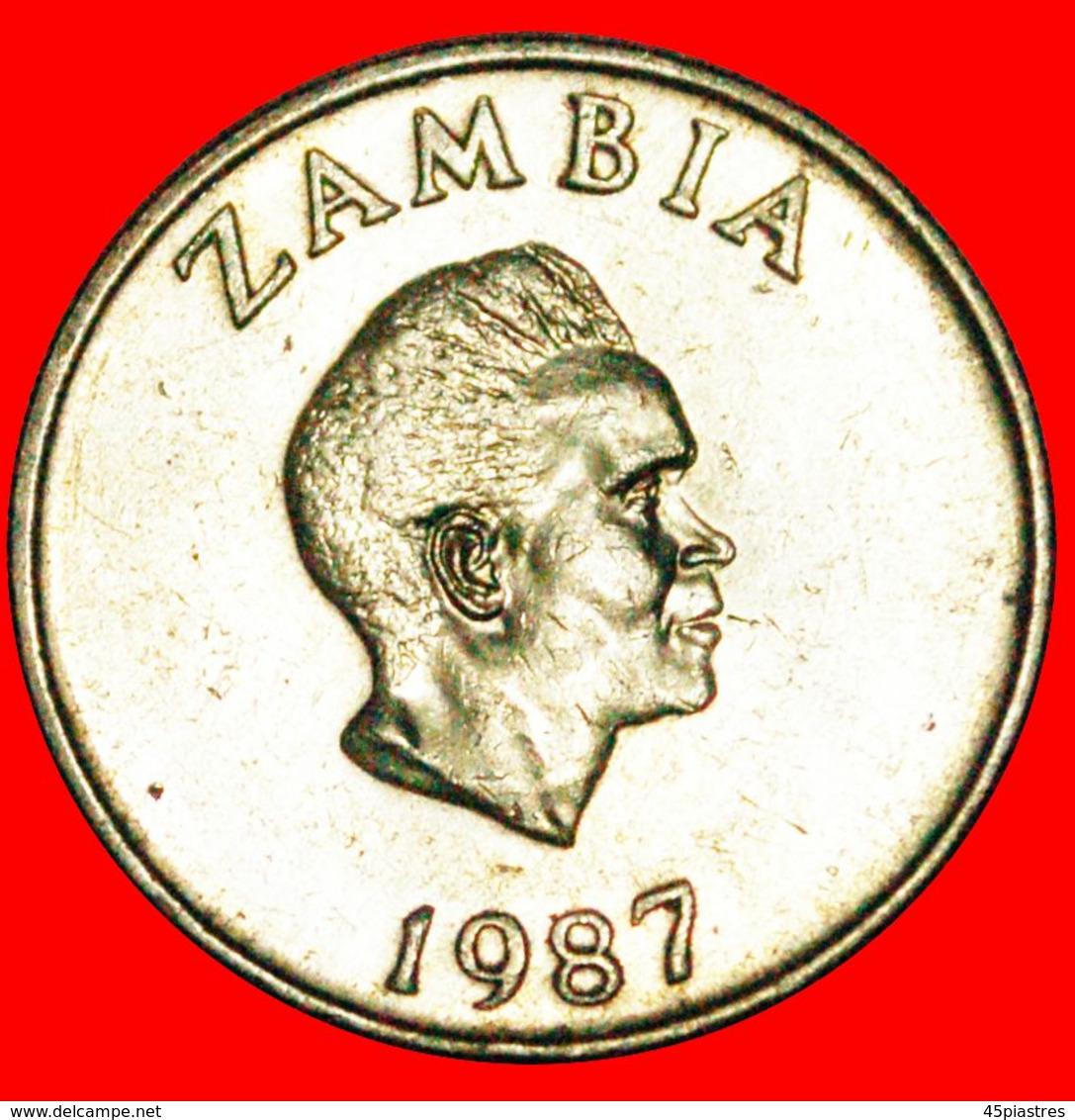 · GREAT BRITAIN: ZAMBIA ★ 10 NGWEE 1987 BIRD! LOW START ★ NO RESERVE! - Zambia