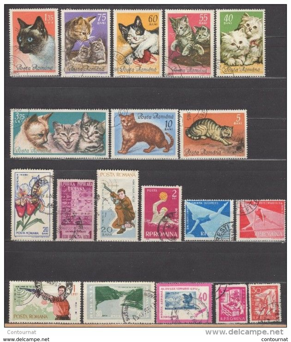 Lot De 19 Timbres Oblitérés  De ROUMANIE Années 60  (T16)  Chat - Andere & Zonder Classificatie